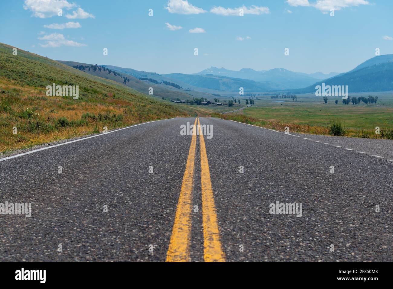 On the road, Yellowstone national park, Wyoming, United States of America (USA). Stock Photo