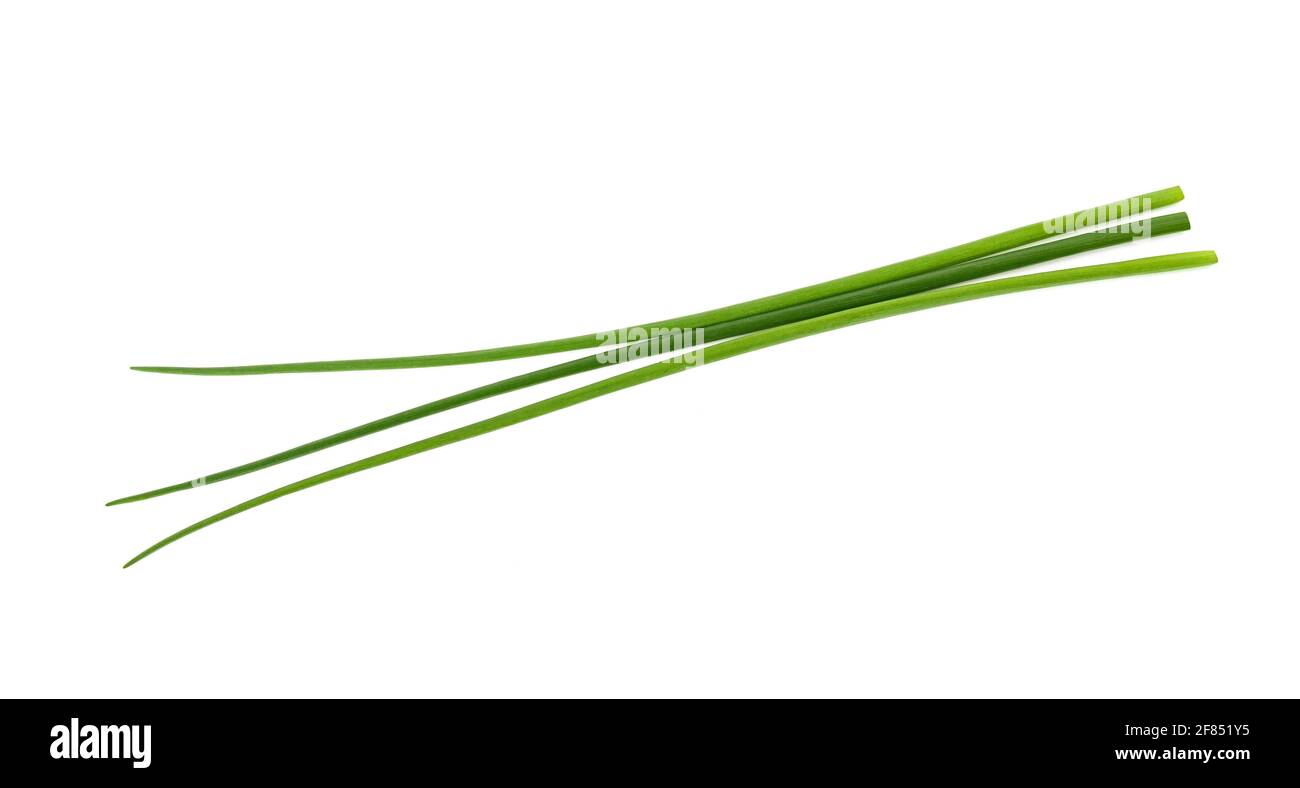 Fresh Chives  isolated on white background Stock Photo