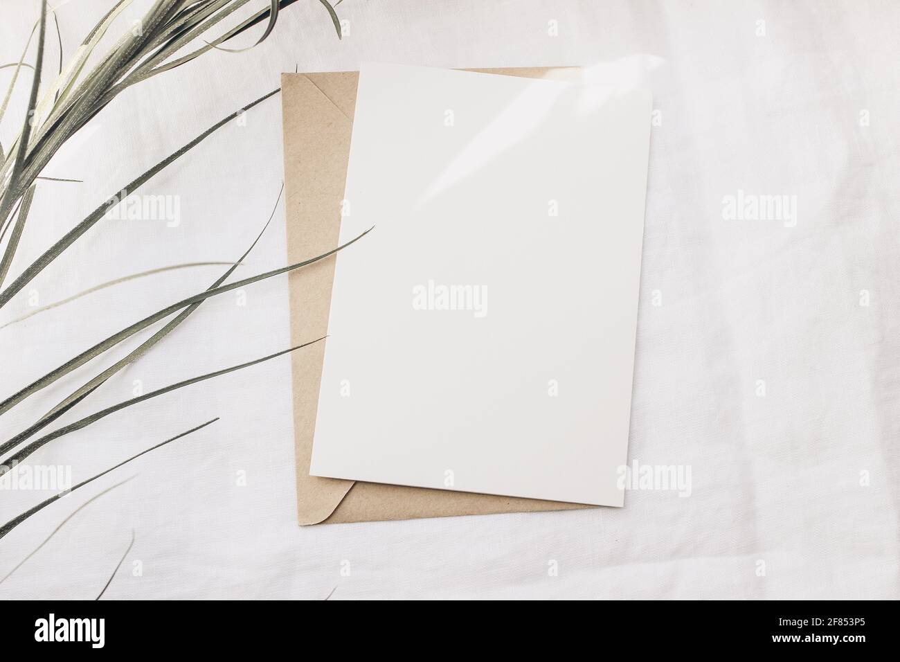 Modern summer stationery still life. Dry palm leaf on white linen table cloth. Blank greeting card mock up scene with craft envelope in sunlight. Flat Stock Photo