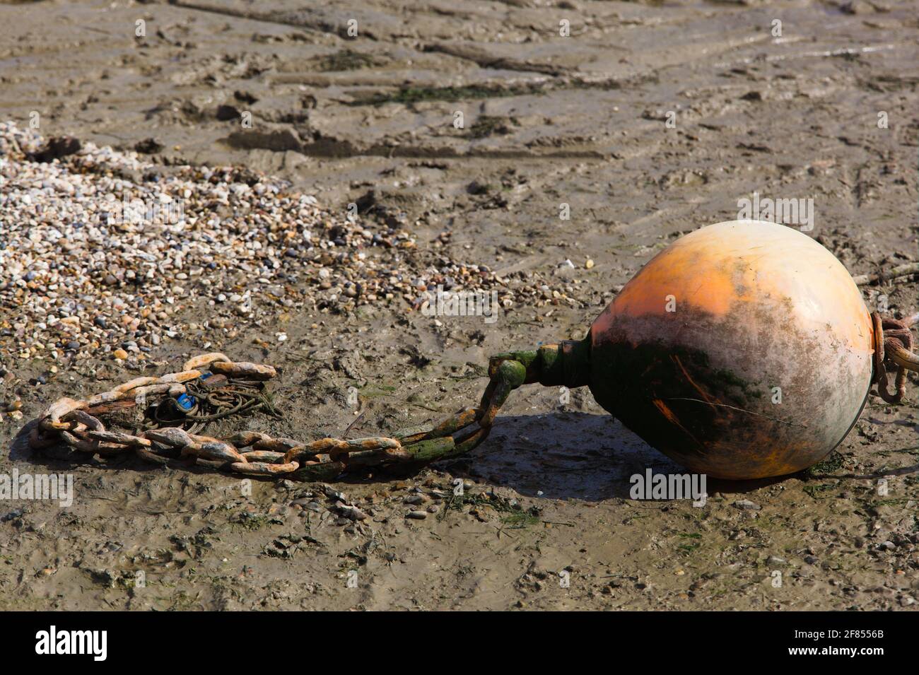 View of an orange buoy chained on the mudflats Stock Photo