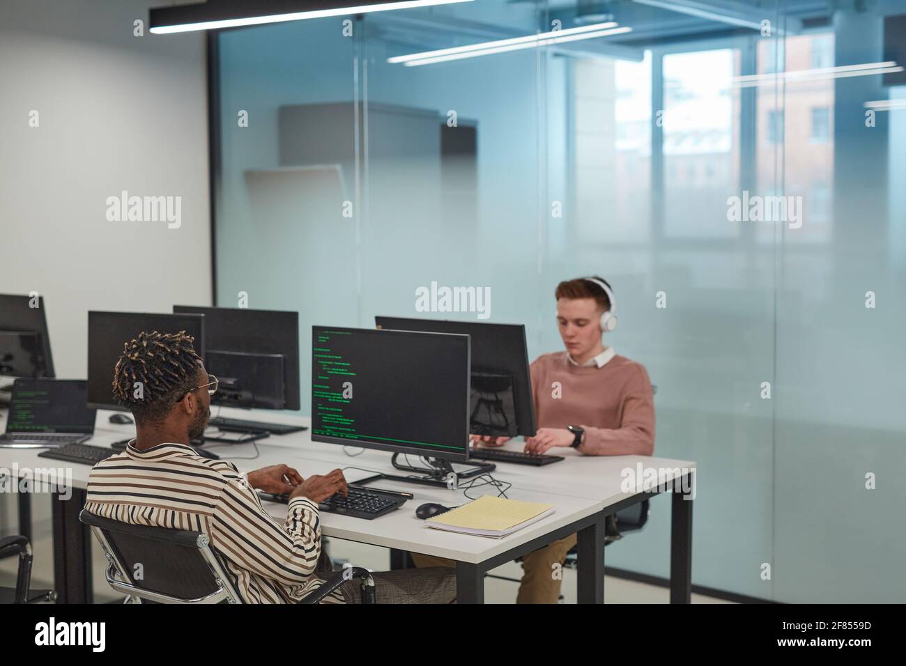Background image of IT programmers or students using computers in ...