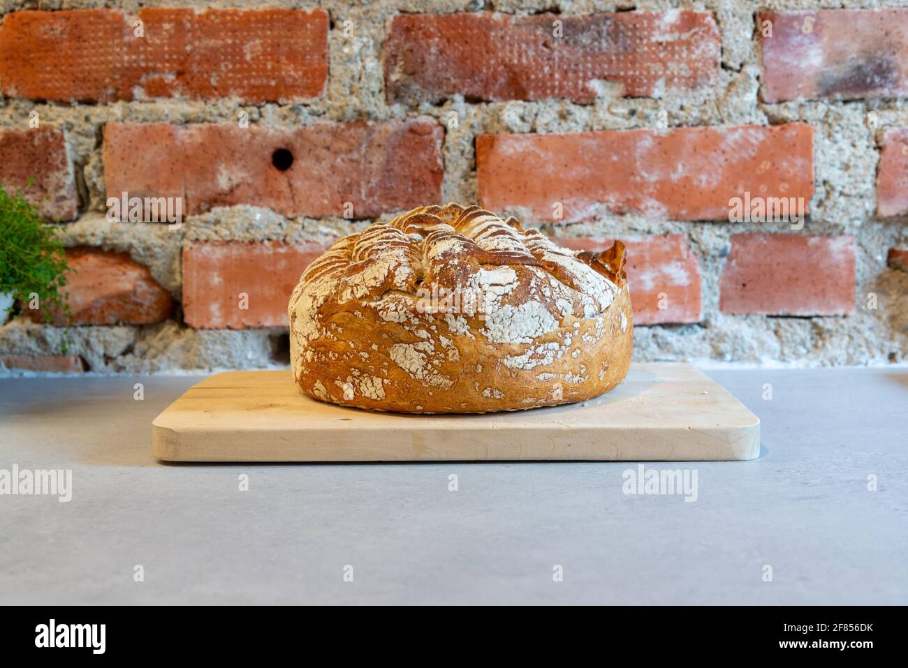 Homemade sourdough bread, ready to be eaten in front of a brick wall