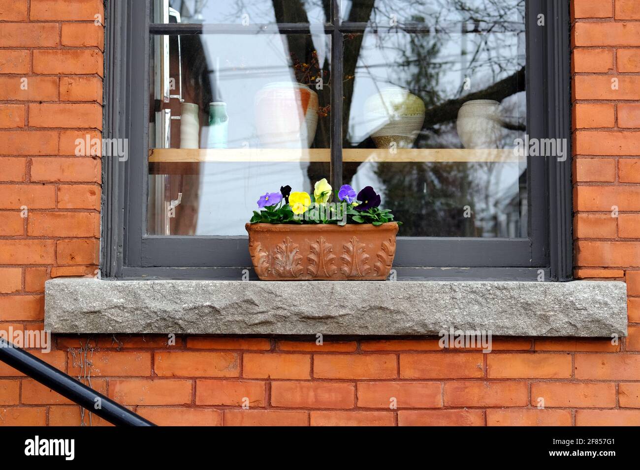 Small rectangular plant pot of multi-coloured pansies on the stone window ledge of a red brick house in spring time in Ottawa, Ontario, Canada. Stock Photo