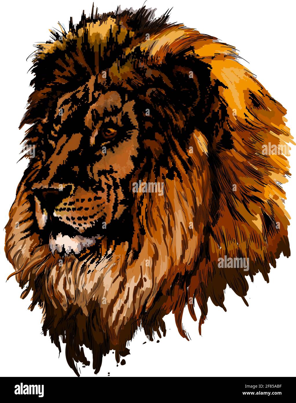 An Image Of The Face Of A Cartoon Lion Outline Sketch Drawing Vector, Real Lion  Drawing, Real Lion Outline, Real Lion Sketch PNG and Vector with  Transparent Background for Free Download