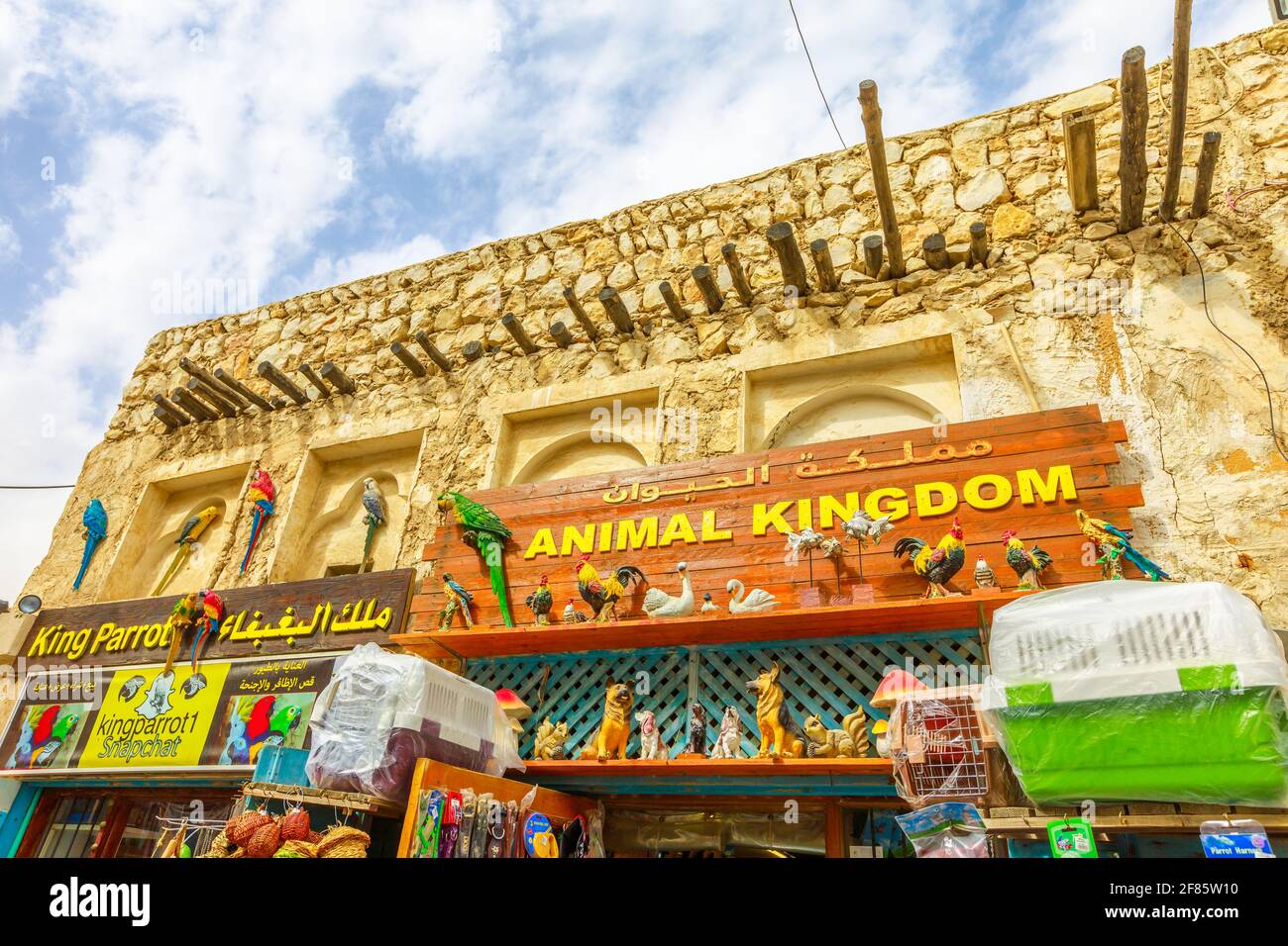 Doha, Qatar February 19, 2019 animal kingdom pet shop along pedestrian road inside Bird Souq