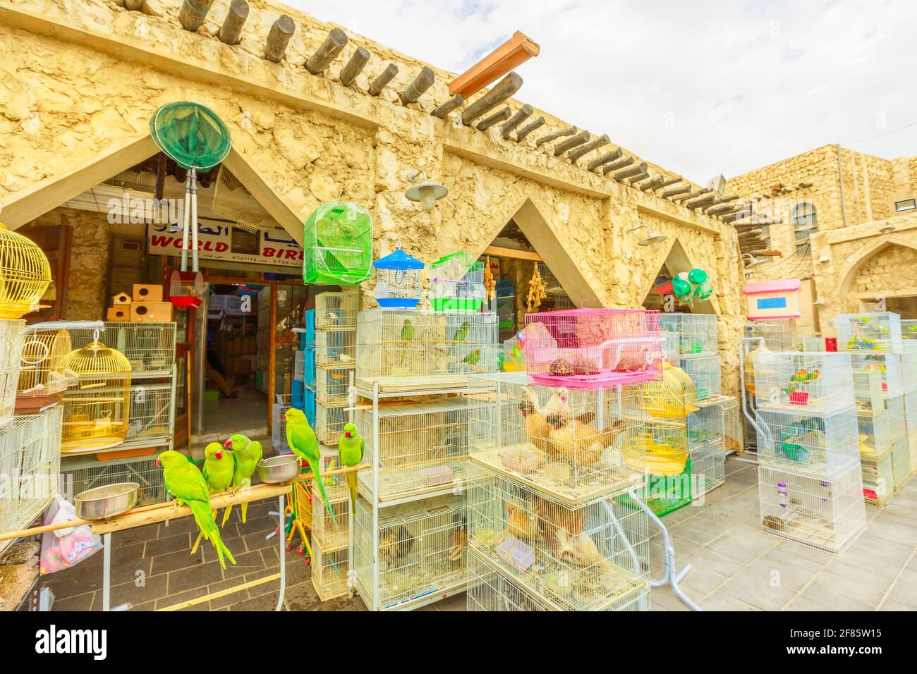 Doha, Qatar February 19, 2019 many parrots, pet shop and cages at