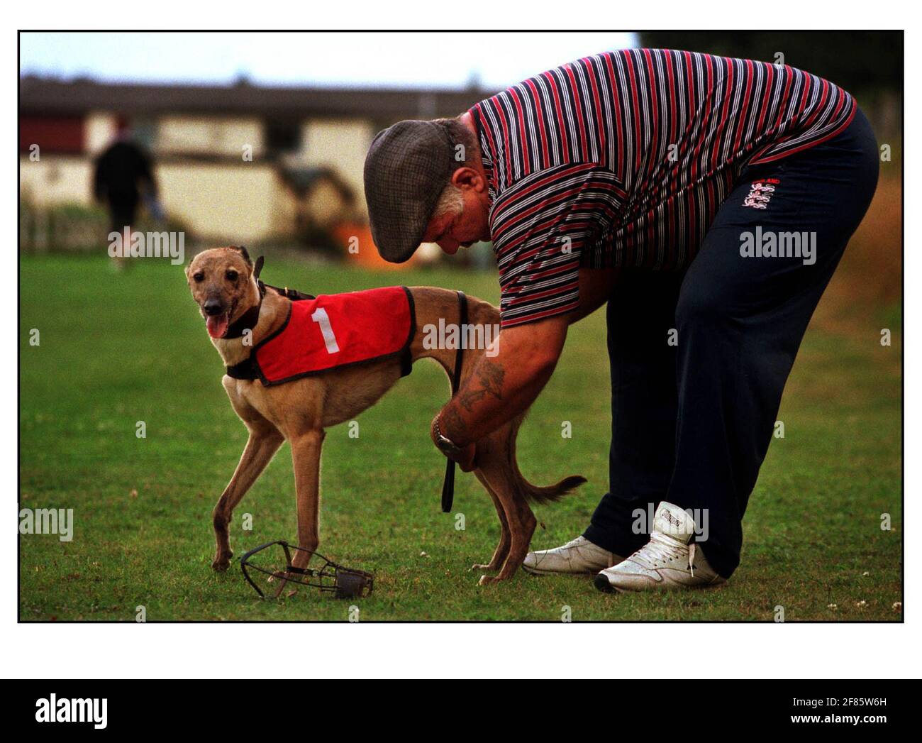 WHIPPET RACING AT THE JOLLY FRIAR PUB AUG 2000 IN BLIDWORTH, NEAR