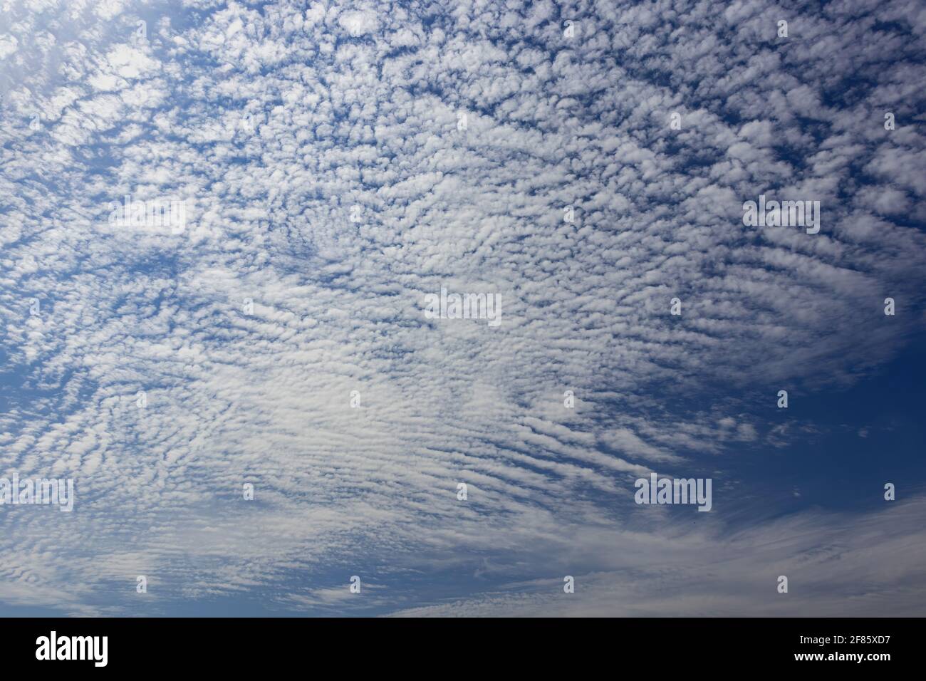 Fish scales clouds hi-res stock photography and images - Alamy