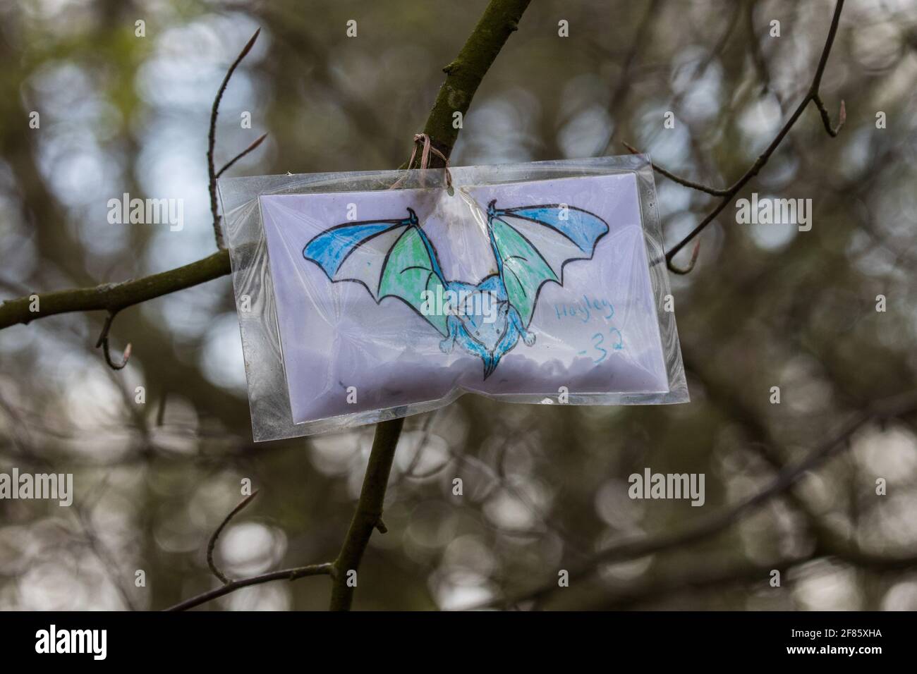 Wendover, UK. 9th April, 2021. A coloured drawing of a bat is pictured during tree felling operations for the HS2 high-speed rail link in Jones Hill Wood, ancient woodland said to have inspired Roald Dahl. Tree felling work began this week, in spite of the presence of resting places and/or breeding sites for pipistrelle, barbastelle, noctule, brown long-eared and natterer's bats, following the issuing of a bat licence to HS2's contractors by Natural England on 30th March. Credit: Mark Kerrison/Alamy Live News Stock Photo