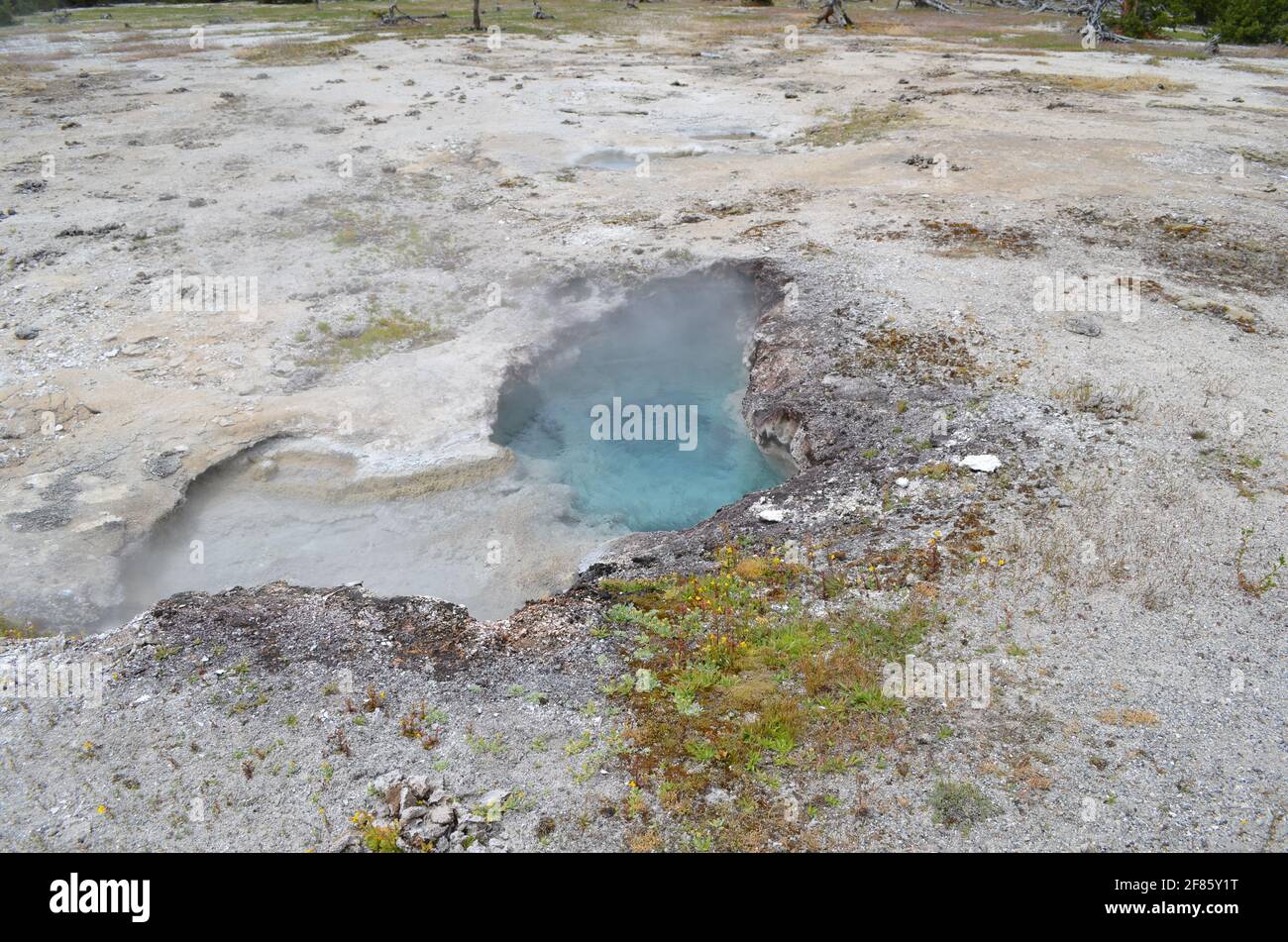 Late Spring in Yellowstone National Park: Silver Globe Complex of the Sapphire Group in the Biscuit Basin Area of Upper Geyser Basin Stock Photo