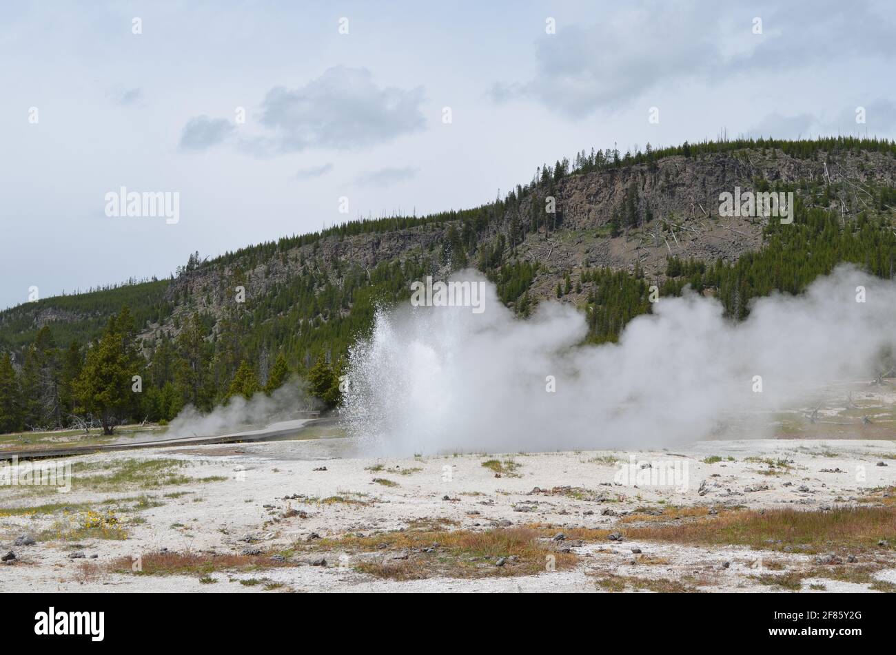 Late Spring in Yellowstone National Park: Jewel Geyser of the Sapphire Group in the Biscuit Basin Area of Upper Geyser Basin and the Madison Plateau Stock Photo