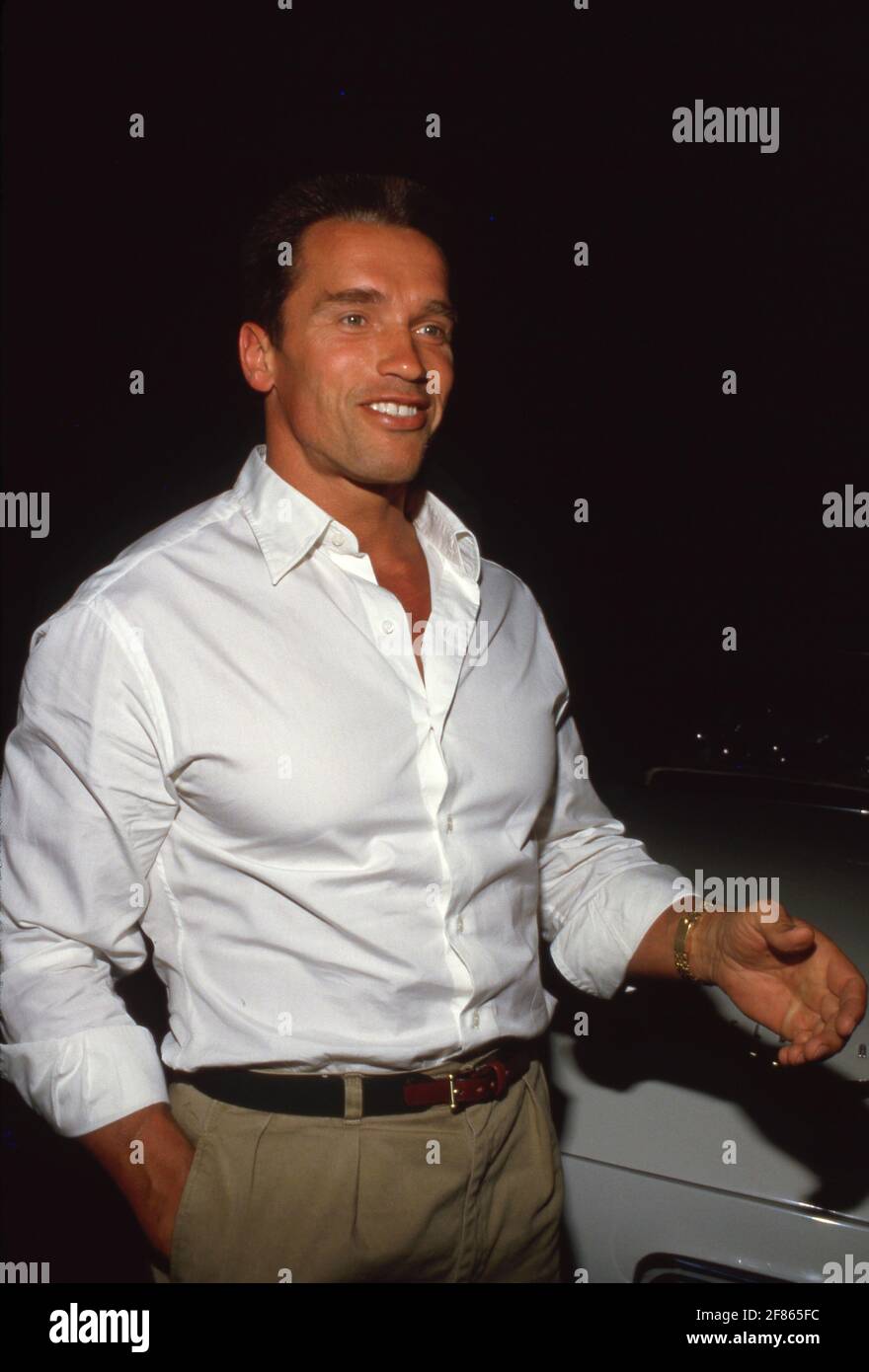 Arnold Schwarzenegger Circa 1980's Credit: Ralph Dominguez/MediaPunch