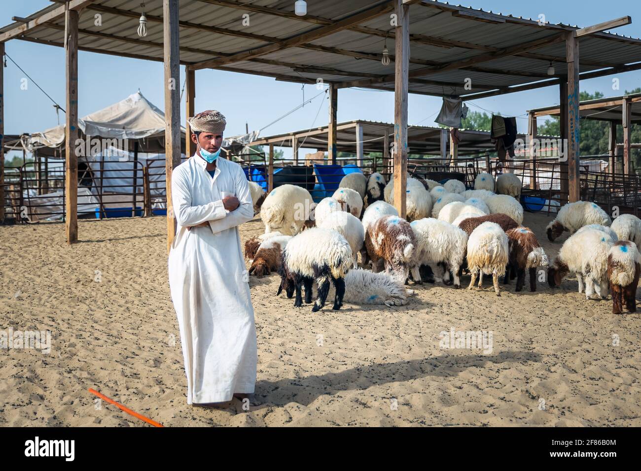Dammam, Saudi Arabia - 02-April-2021. Young adult man with his goats on their cattle farm. Stock Photo