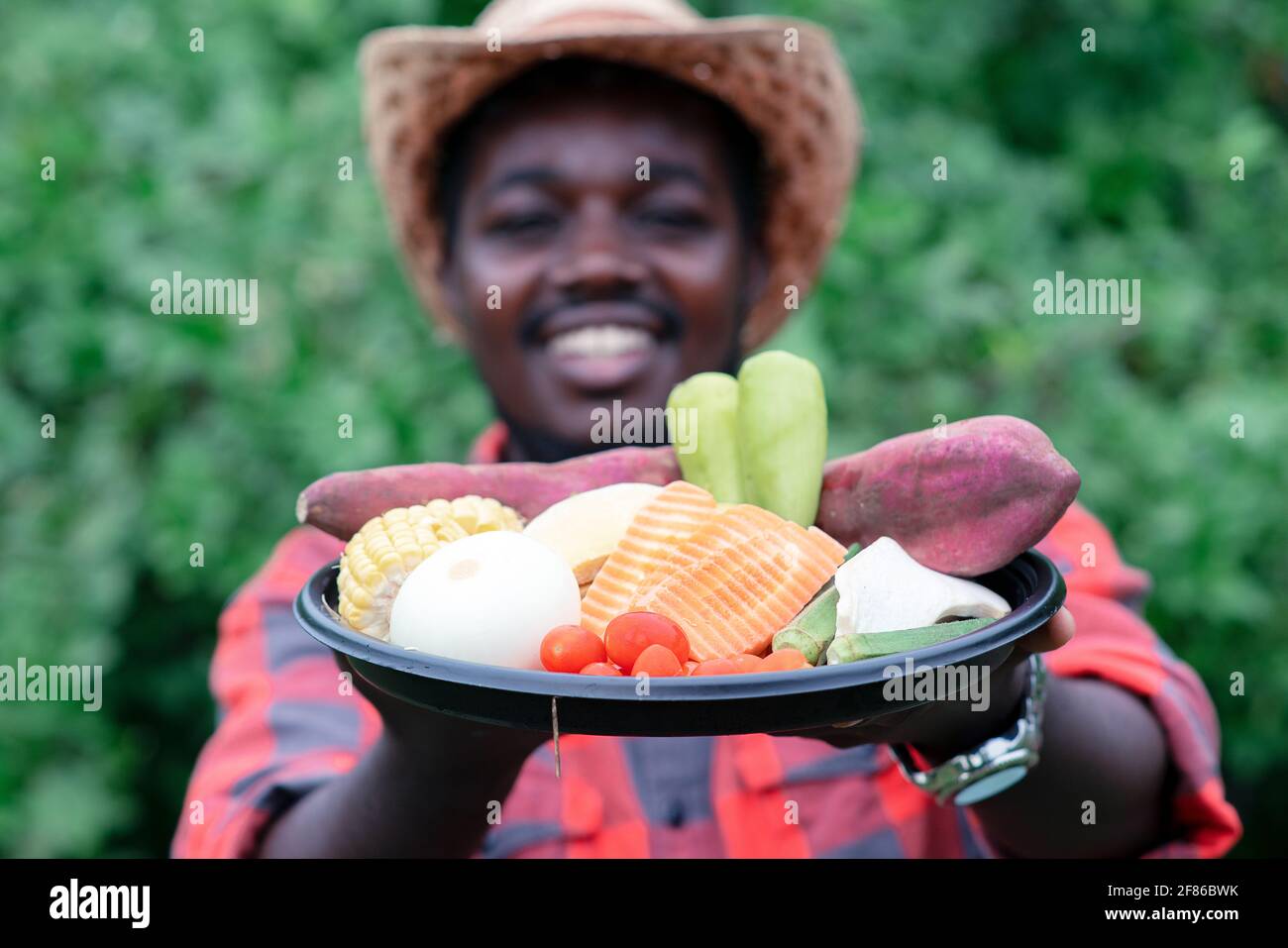 African farmer holding package of vegetables. Organic vegetables ready ...