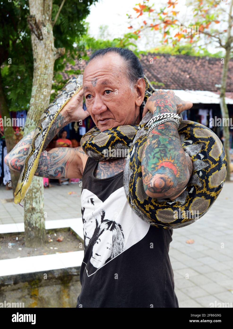 A tattooed Balinese man with his python wrapped around his body Stock ...