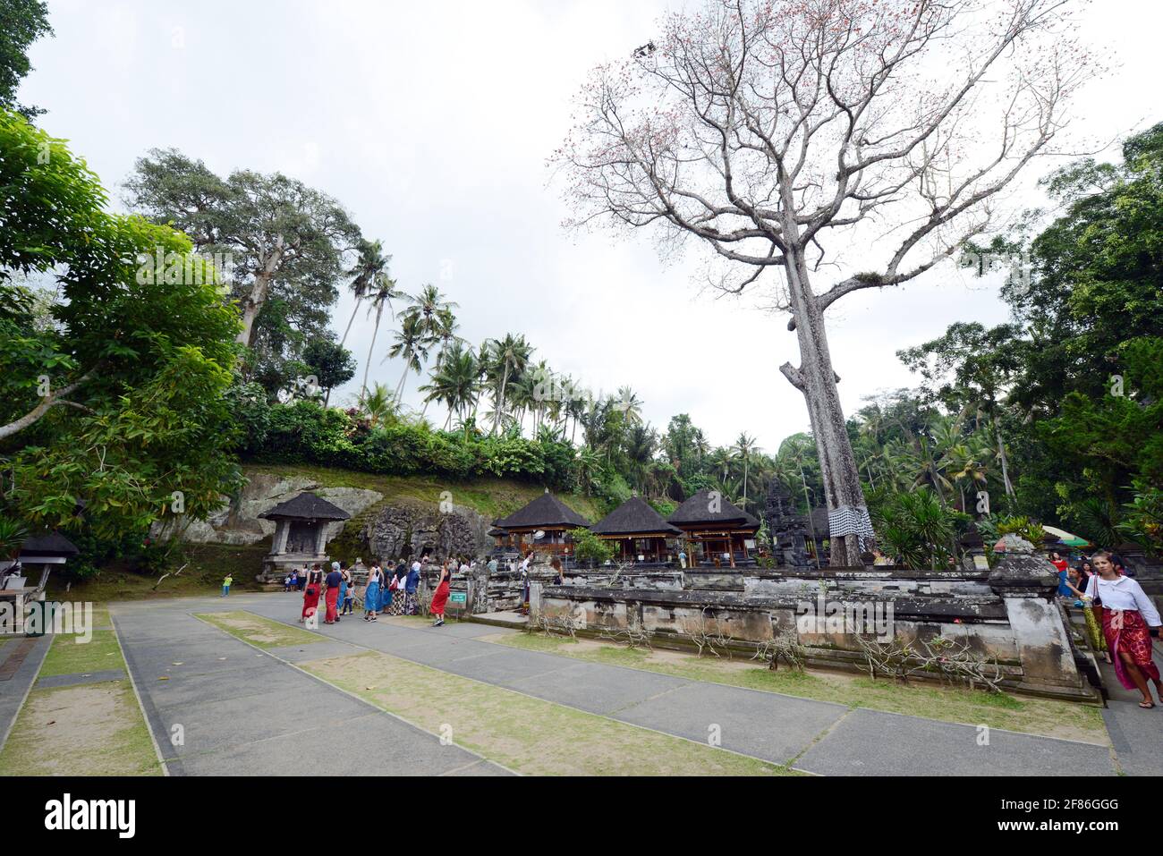 Goa Gajah ( Elephant cave ) temple complex and sanctuary near Ubud, Bali, Indonesia. Stock Photo