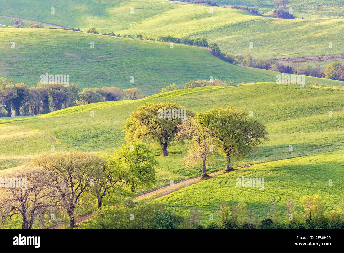 Dirt road trees scenery hi-res stock photography and images - Alamy