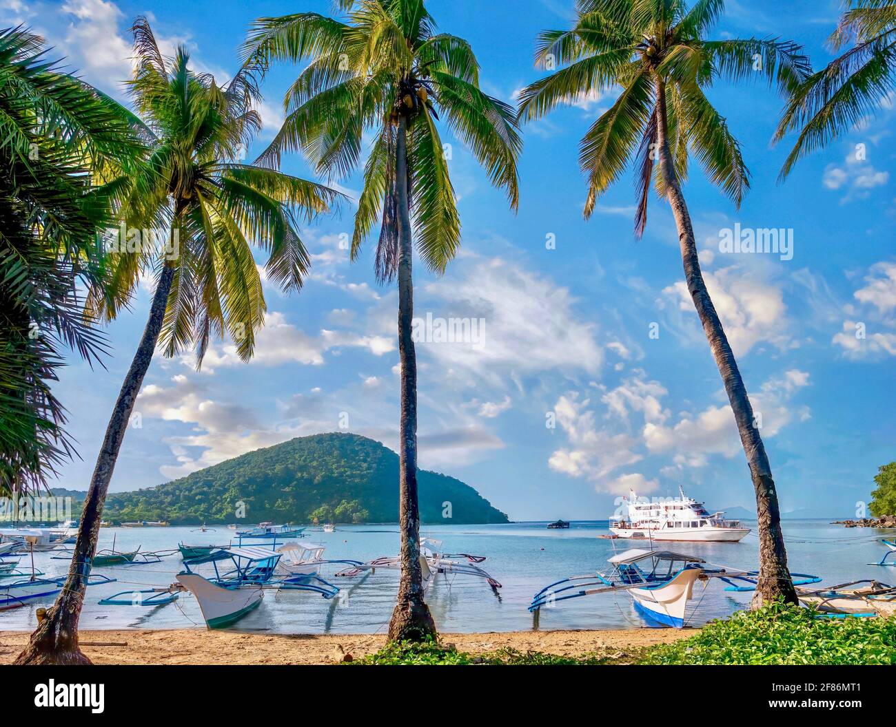 A picturesque tropical cove in the Philippines, with tall coconut palm trees, turquoise water, and traditional wooden outrigger boats known as bancas, Stock Photo