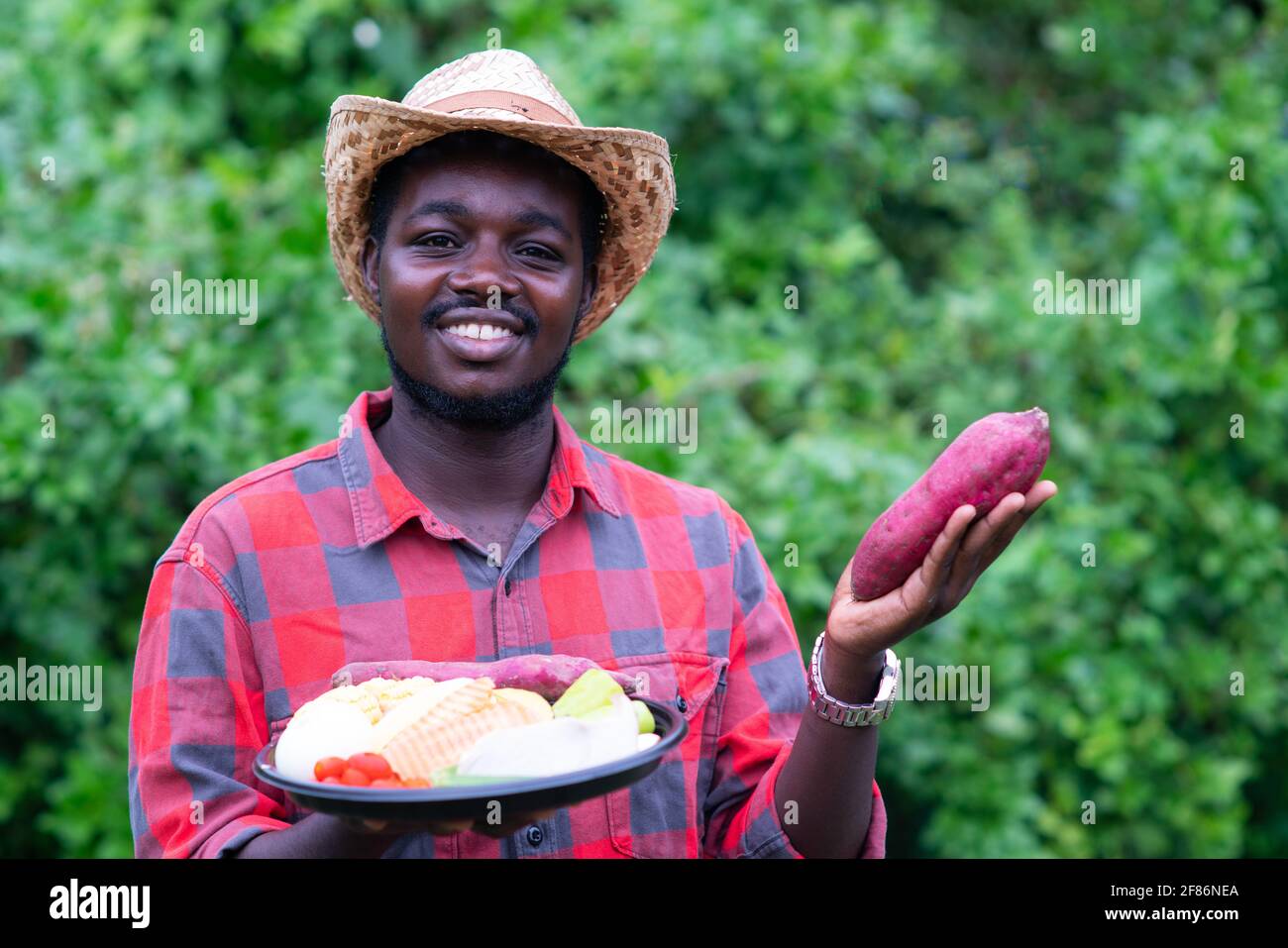 View of African farmer holding package of vegetables. Organic vegetables ready ...