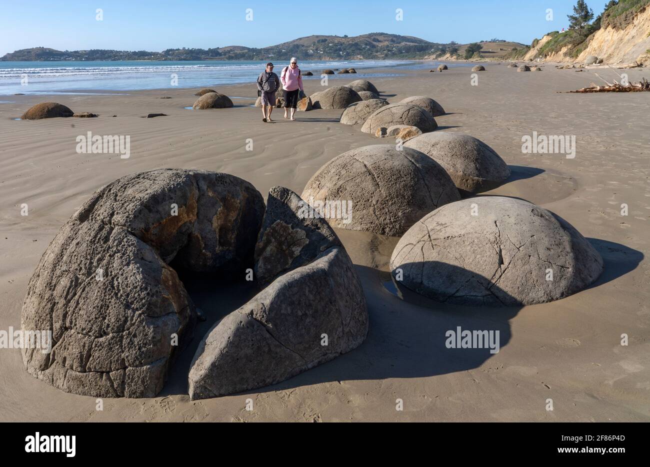 Moeraki Boulders, Moeraki, New Zealand, 1 April, 2021 - The Moeraki Boulders are unusually large and spherical boulders lying along a stretch of Koekohe Beach on the wave-cut Otago coast of New Zealand between Moeraki and Hampden. They occur scattered either as isolated or clusters of boulders within a stretch of beach where they have been protected in a scientific reserve. Photo shows tourist studying the boulders. Credit: Rob Taggart/Alamy Stock Photo