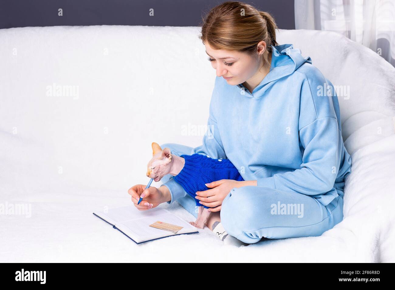 Focused girl student at home in cozy clothes on the couch with a home