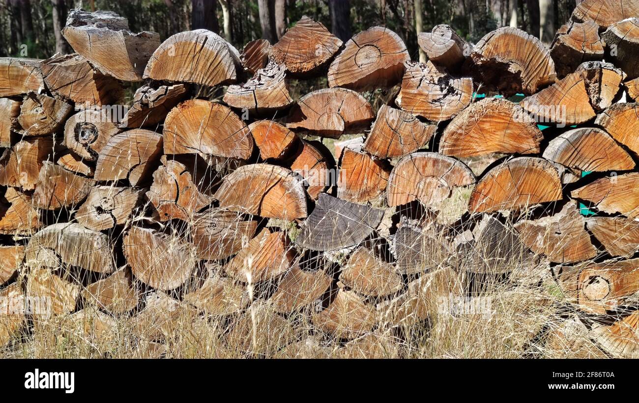 pile of wood that has been weathered over time, chopped ready to be burned. Mullion Creek NSW , Australia. Stock Photo