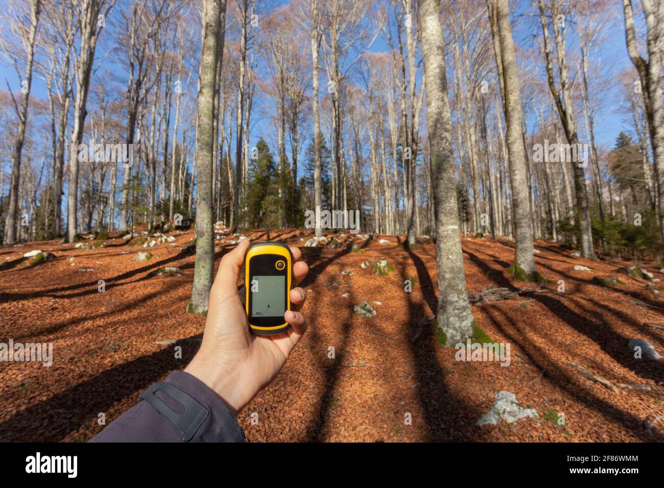 finding the right position in the forest via gps Stock Photo - Alamy