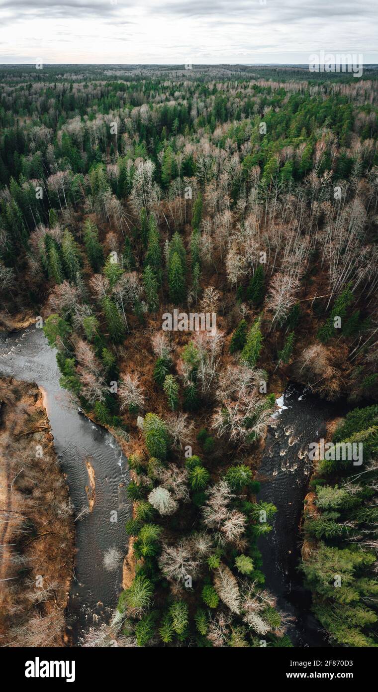 Aerial view of the river surrounded by trees Stock Photo - Alamy