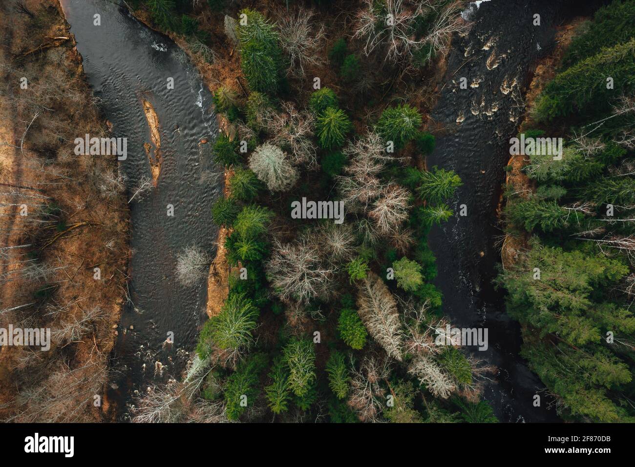 Aerial view of the river surrounded by trees Stock Photo - Alamy