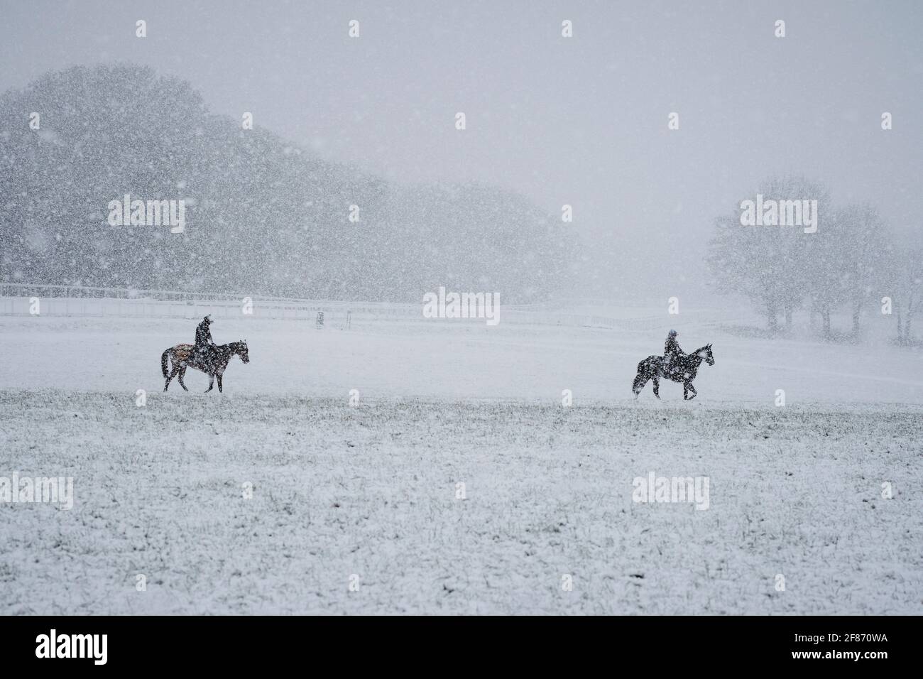 Epsom Downs, UK. 12th Apr, 2021. Racehorses exercising in the snow which fell over the Surrey Hills this morning. Credit: Edward Webb/Alamy Live News Stock Photo