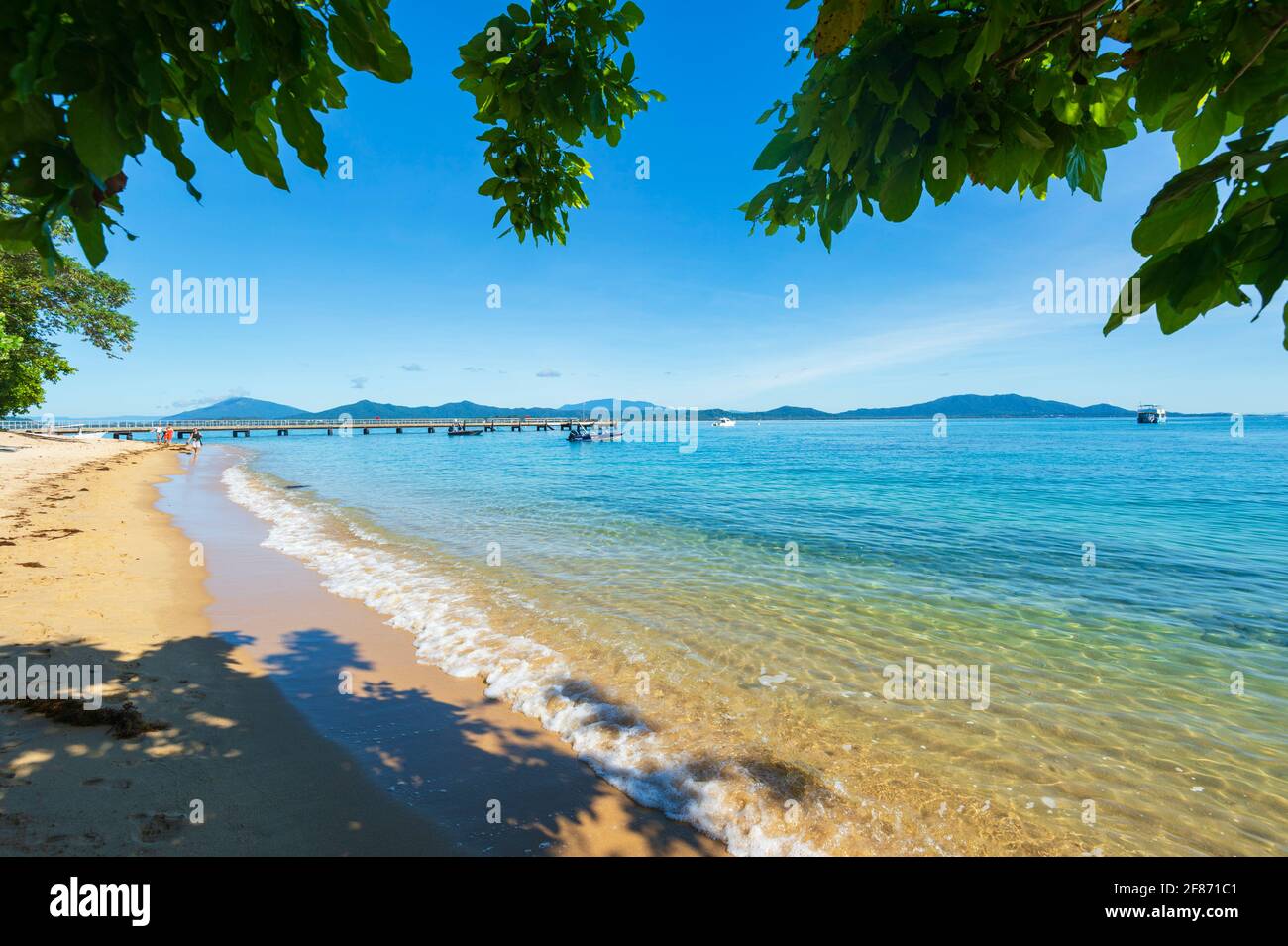 View of an idyllic exotic sandy beach on Dunk Island, Queensland, QLD, Australia Stock Photo