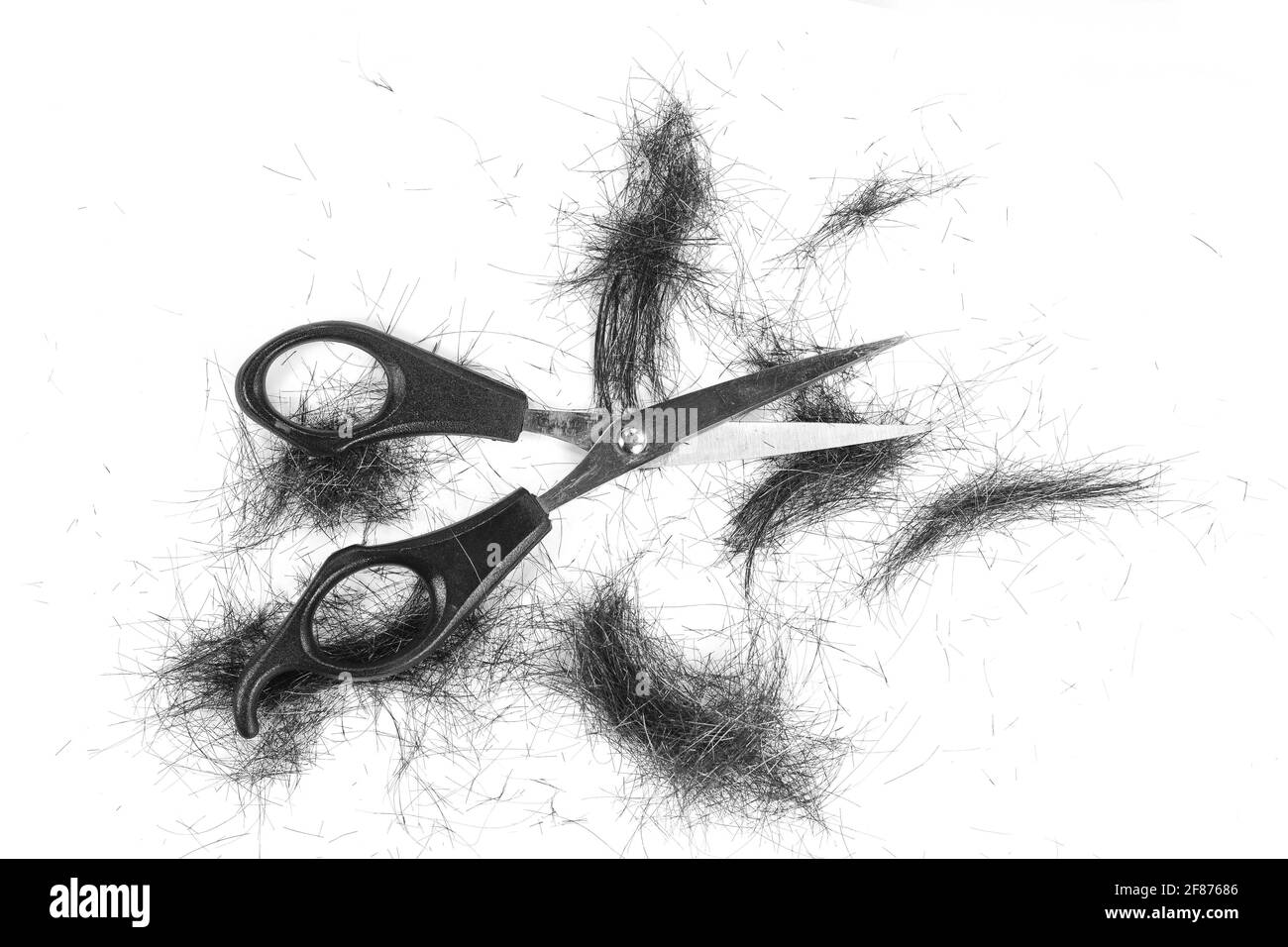 It is Cutting black hair, scissors and comb isolated on white. Black hair cut off on white background. Stock Photo