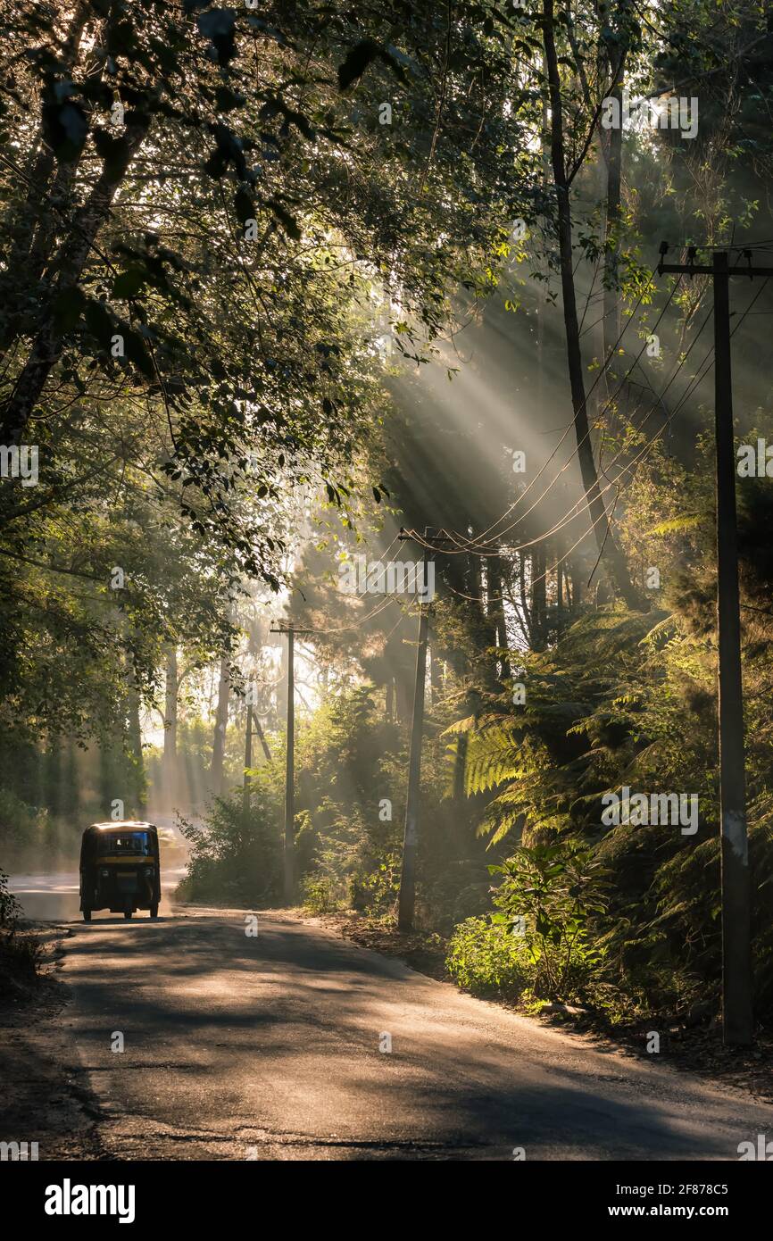 Indian Auto Rickshaw travelling through a tropical forest in Kerala, India. Stock Photo