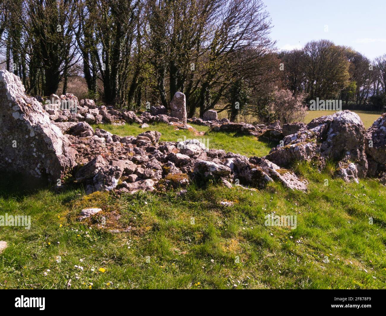 Ruins of Din Lligwy Ancient Village of enclosed Roman Hut Groups Lligwy Isle of Anglesey North Wales Stock Photo