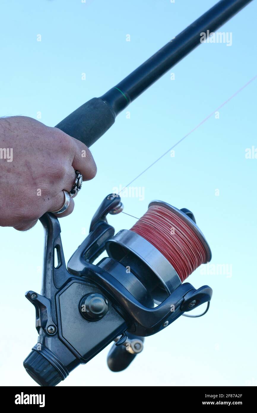 ishing reel on the rod. Fishing on the feeder. Carp fishing rods with carp  bite indicators and reels set up on rod pod near lake river Stock Photo -  Alamy