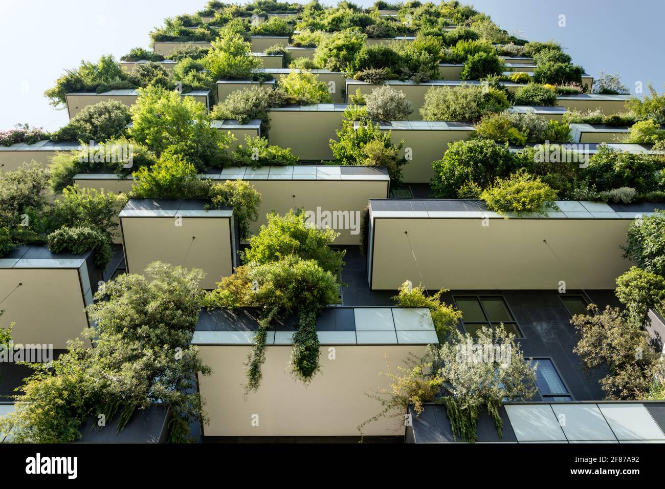 The Vertical Forest towers in Milan by Boeri Stock Photo Alamy