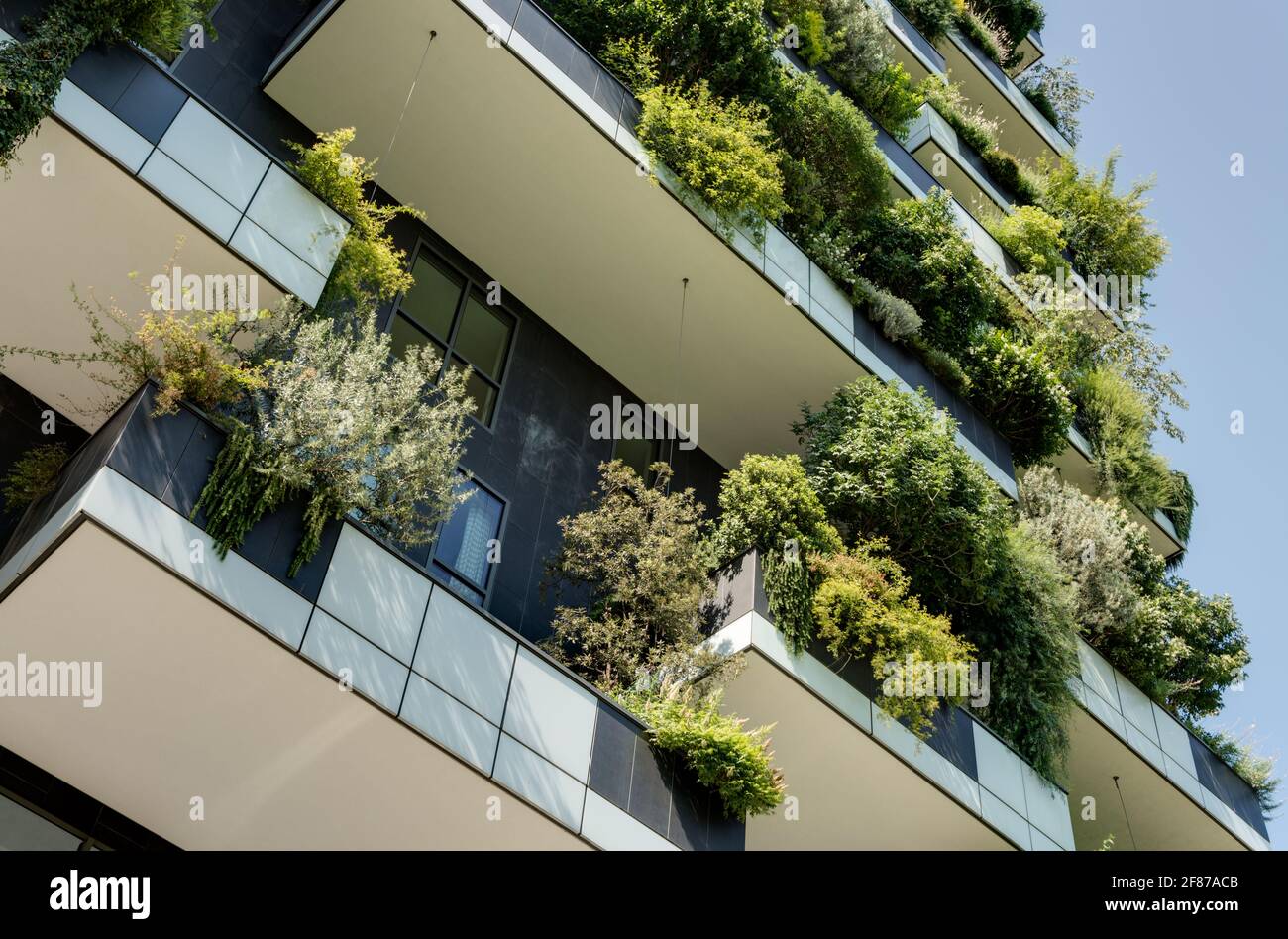 The Vertical Forest towers in Milan by Boeri Stock Photo Alamy