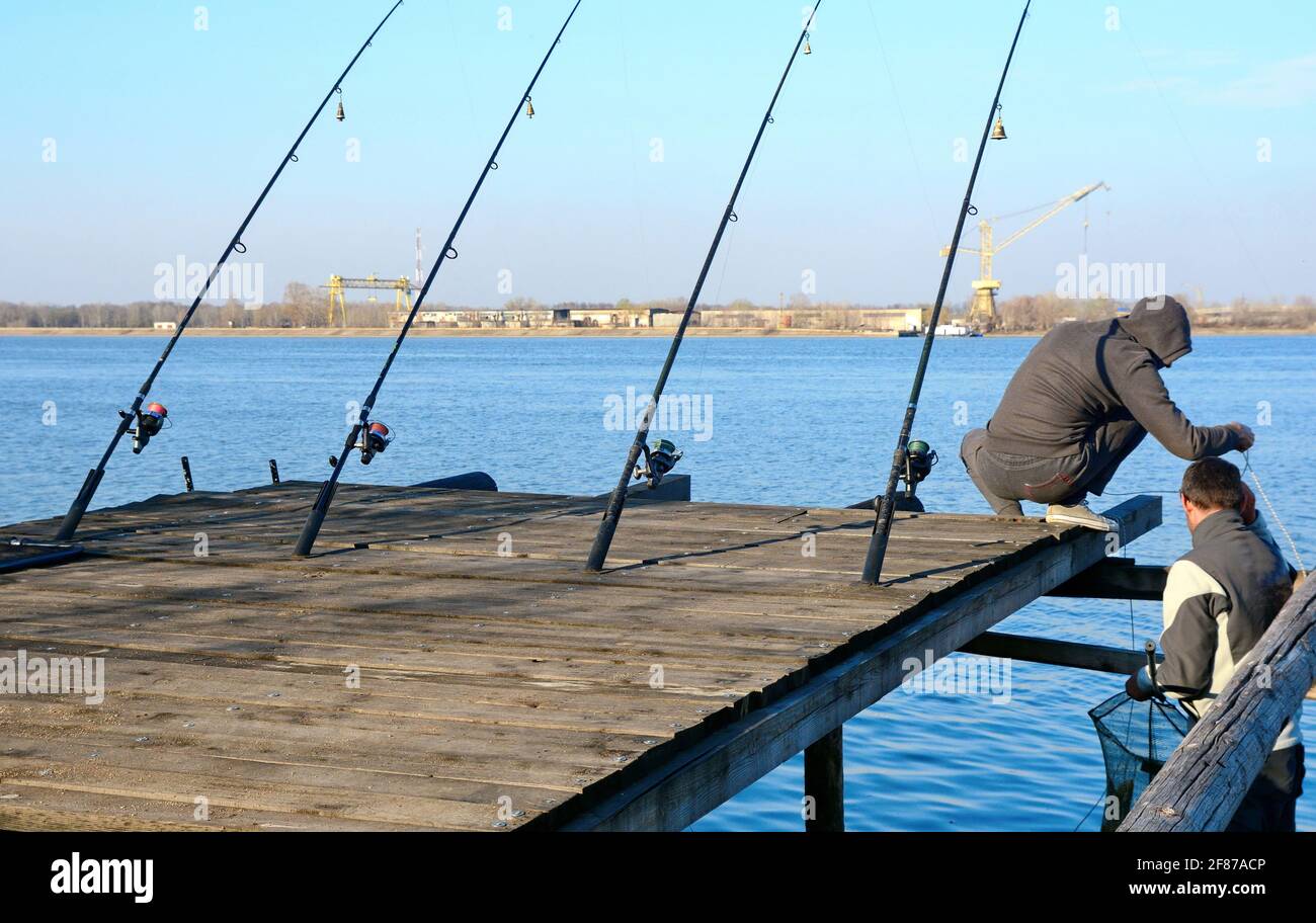 ishing reel on the rod. Fishing on the feeder. Carp fishing rods with carp bite  indicators and reels set up on rod pod near lake river Stock Photo - Alamy