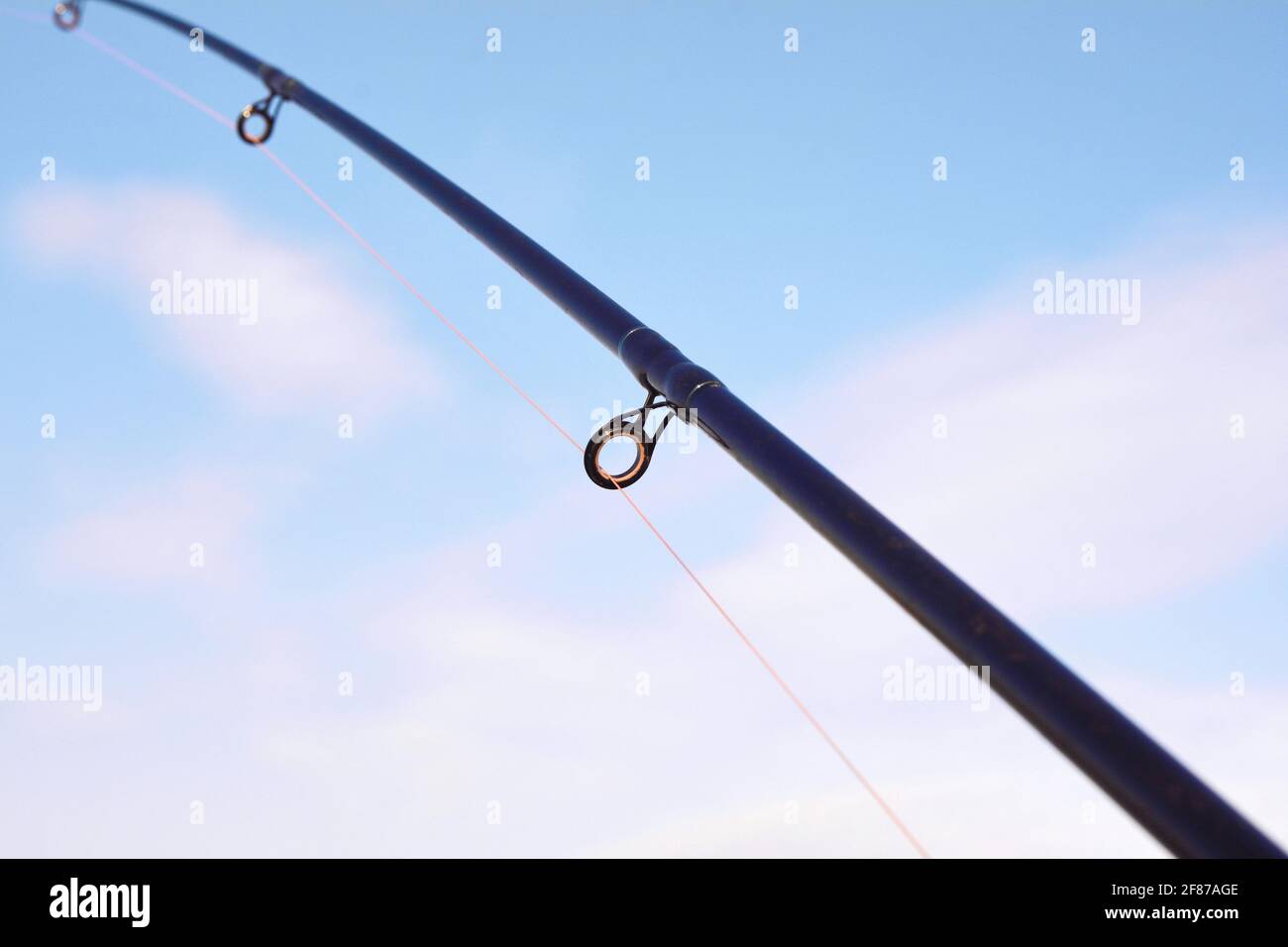 ishing reel on the rod. Fishing on the feeder. Carp fishing rods with carp  bite indicators and reels set up on rod pod near lake river Stock Photo -  Alamy
