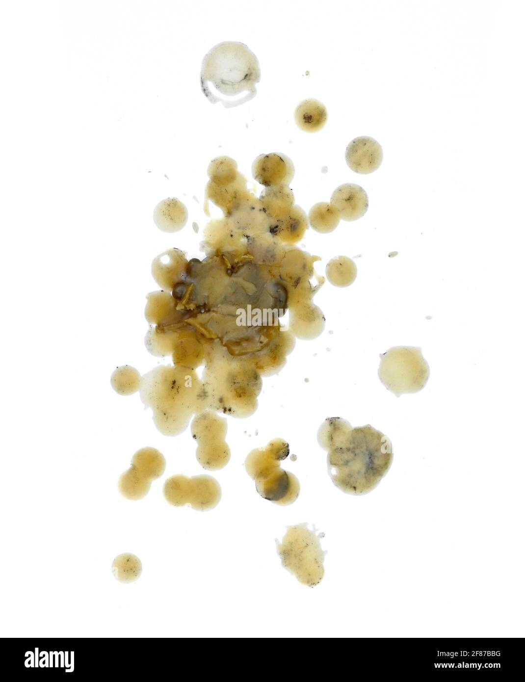 Candle dripping on white isolated. Pure natural Bees Wax (Beeswax