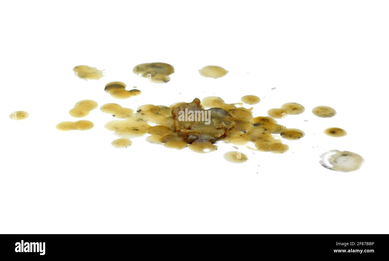 Candle dripping on white isolated. Pure natural Bees Wax (Beeswax