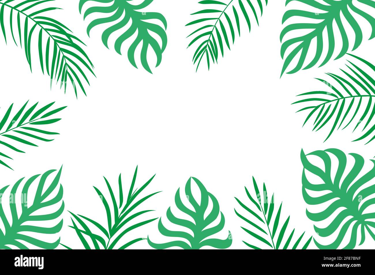 Palm leaves background with copy space on white Stock Vector