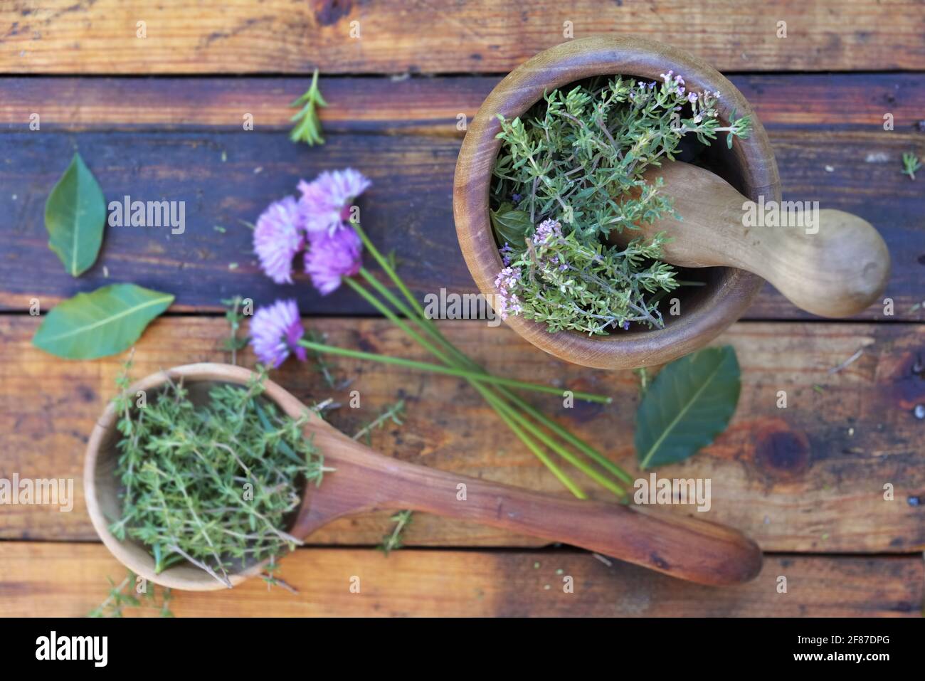 aromatic herb in a wooden  spoon and mortar on a wooden  table Stock Photo