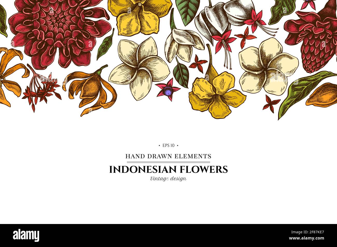 Floral design with colored plumeria, allamanda, clerodendrum, champak, etlingera, ixora Stock Vector