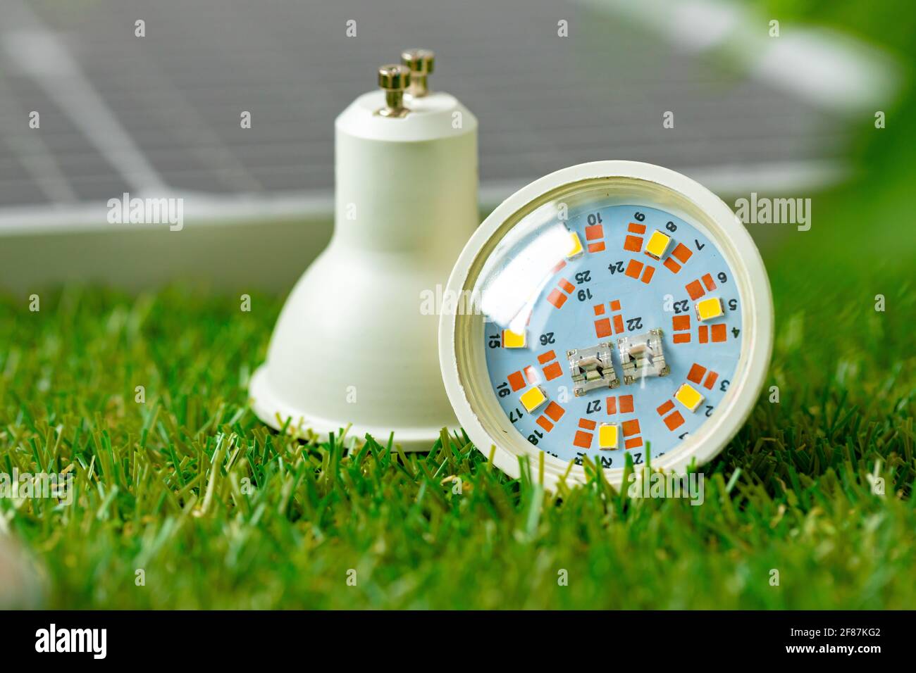Energy efficient light bulb lying on grass Stock Photo - Alamy