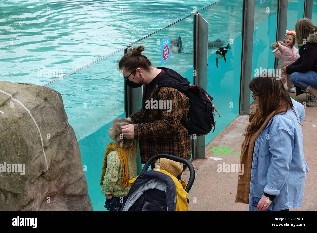London, UK. 12th April 2021. A family enjoys the penguins at ZSL London Zoo on opening day following covid19 restrictions. Credit: Bradley Taylor / Alamy Live News Stock Photo
