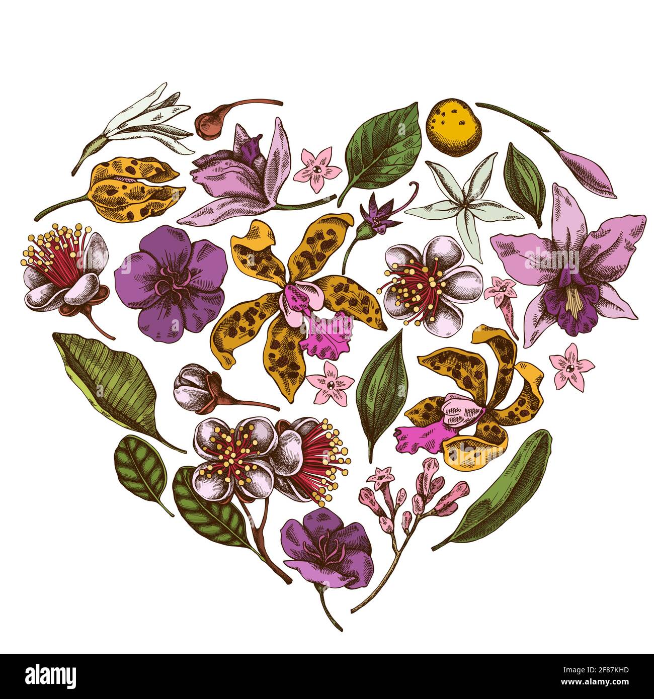 Heart floral design with colored laelia, feijoa flowers, glory bush, papilio torquatus, cinchona, cattleya aclandiae Stock Vector