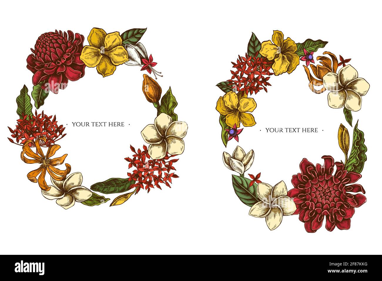 Floral Wreath of colored plumeria, allamanda, clerodendrum, champak, etlingera, ixora Stock Vector
