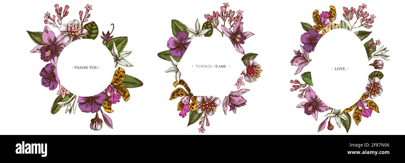 Floral frames with colored laelia, feijoa flowers, glory bush, papilio torquatus, cinchona, cattleya aclandiae Stock Vector
