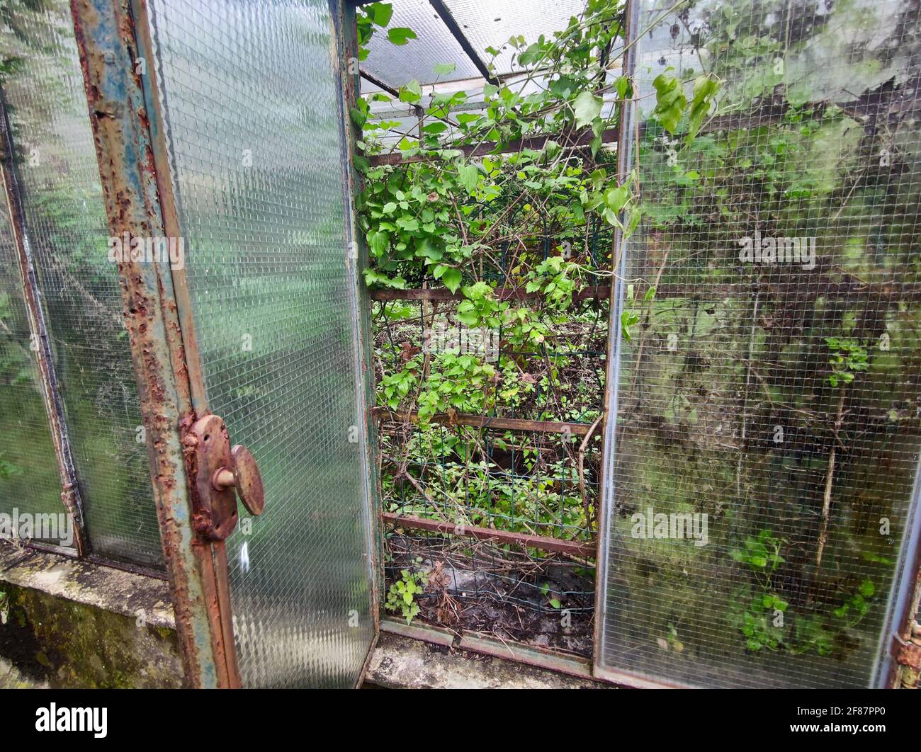 Greenhouse Glass Broken High Resolution Stock Photography and Images Alamy